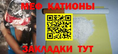 крисы Можга