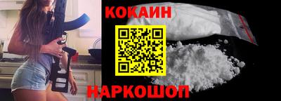 крисы Можга
