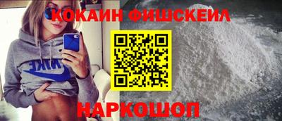 крисы Можга