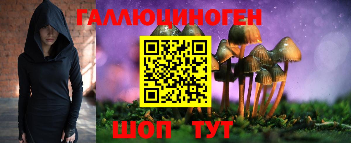 Галлюциногенные грибы Psilocybe Ангарск